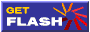 Macromedia Flash Player